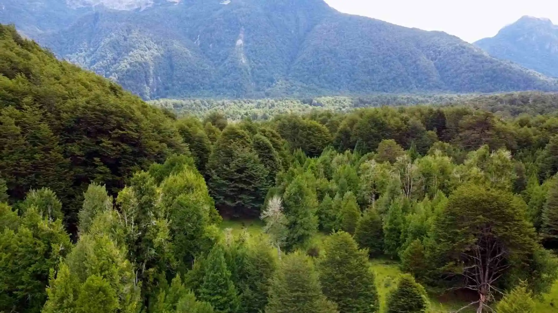 Lotes Laguna Las Torres - Región de Aysén — 12