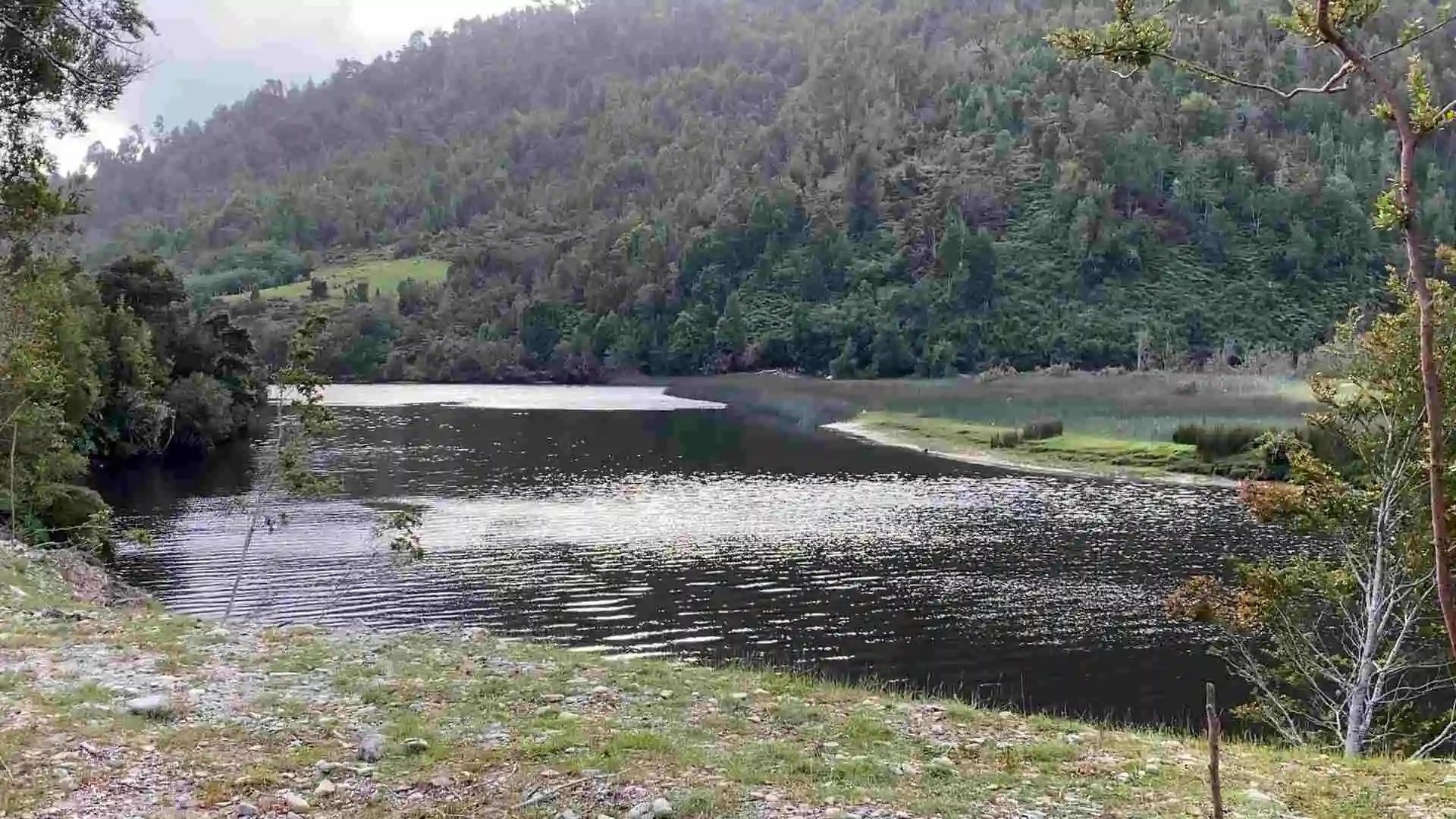 Champ Llico Bajo – Région des Lacs — 11