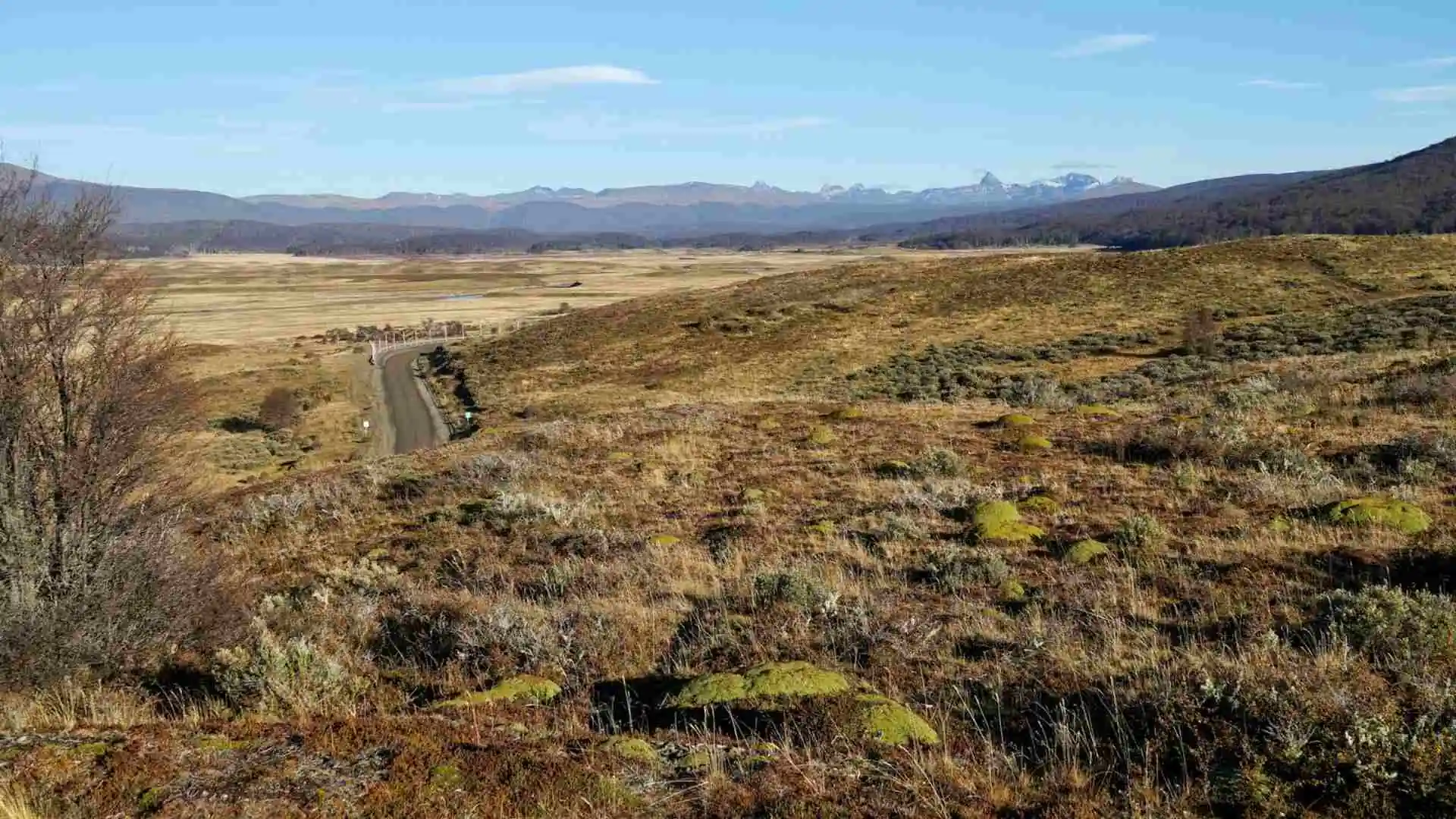 Lotes en Río Rasmussen, Pampa Guanaco - Timaukel, Región de Magallanes — 11