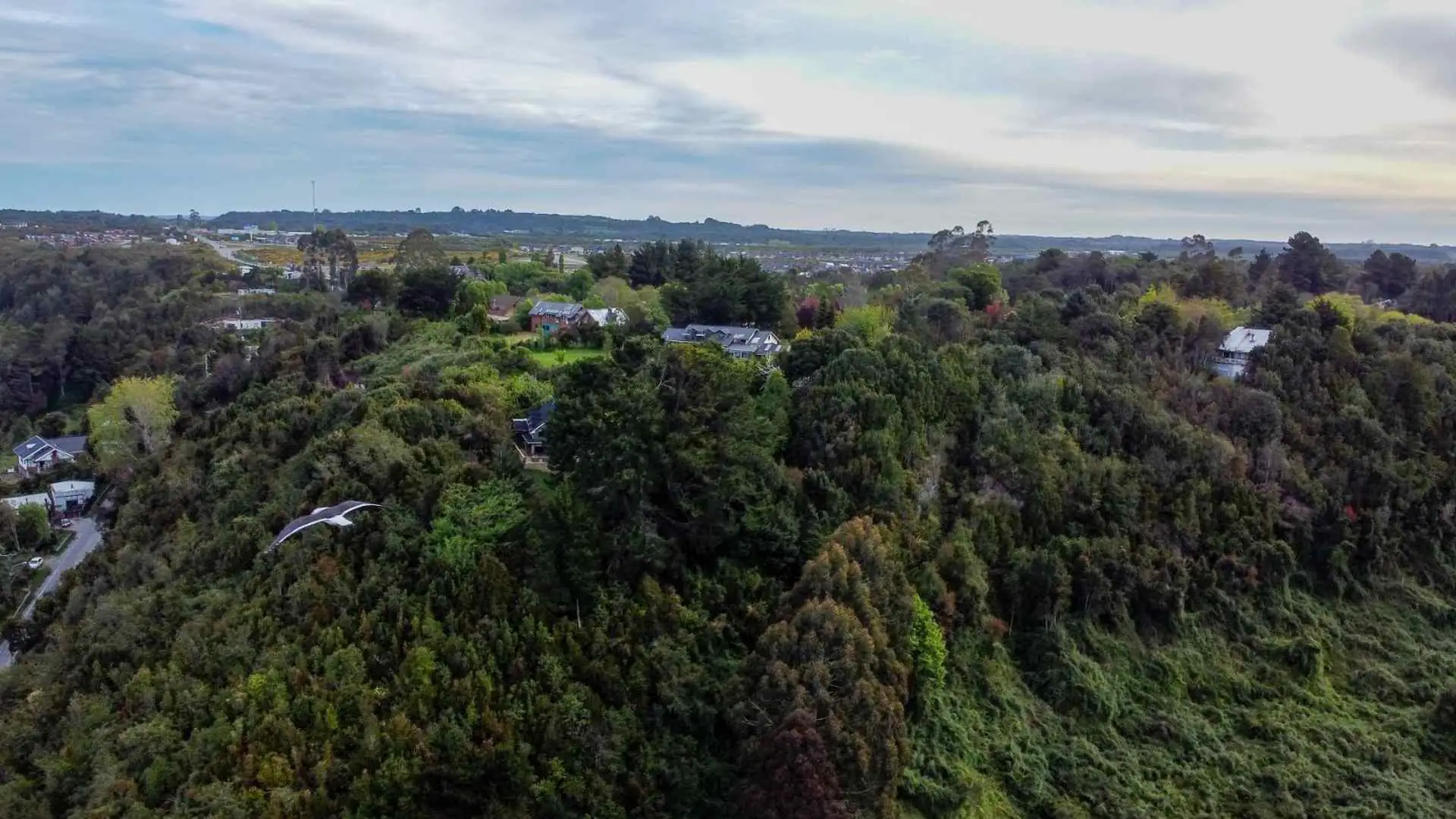 Terreno en Chinquihue, Bahía de Puerto Montt - Puerto Montt, Región de Los Lagos — 11