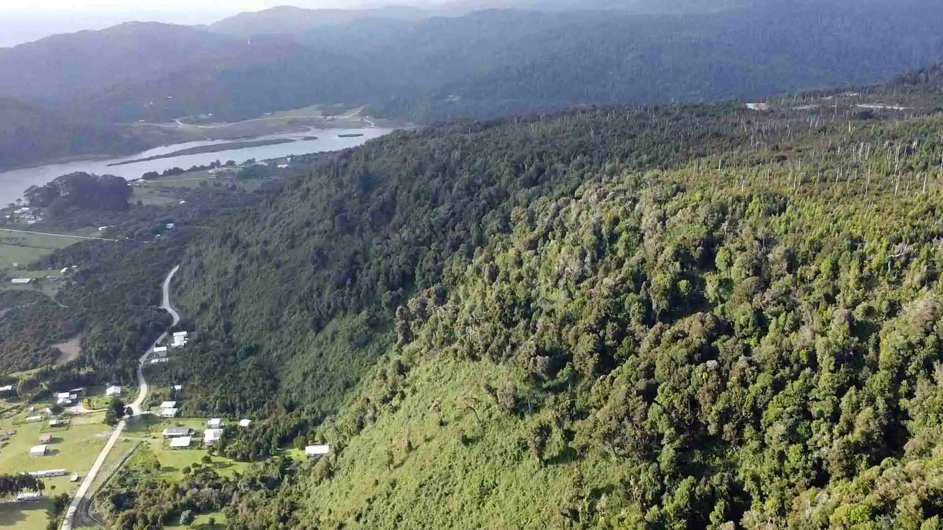 Champ Llico Bajo – Région des Lacs — 8