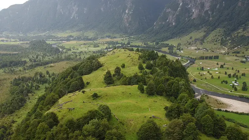 Field in Aysén – Coyhaique and Puerto Aysén – Los Torreones, Aysén Region
