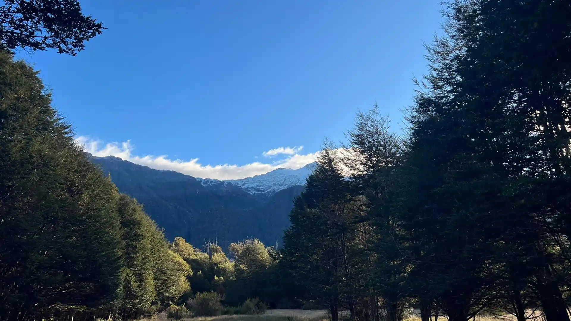 Lotes Laguna Las Torres - Región de Aysén — 11