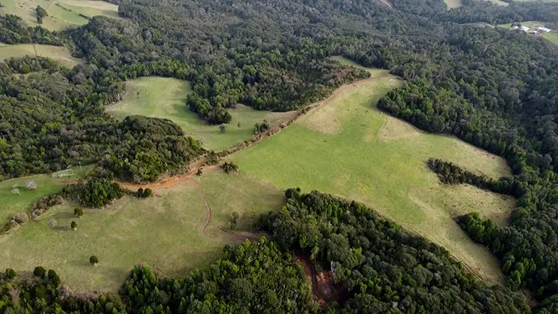 Campo en Estaquilla, Bautista – Región de Los Lagos