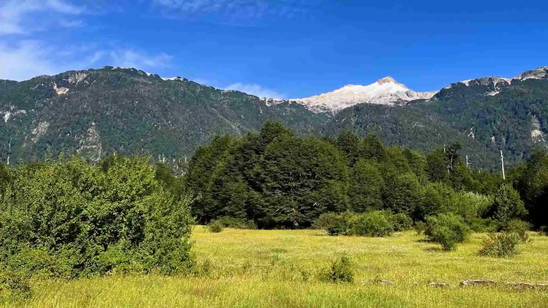 Lotes Laguna Las Torres - Región de Aysén — 8