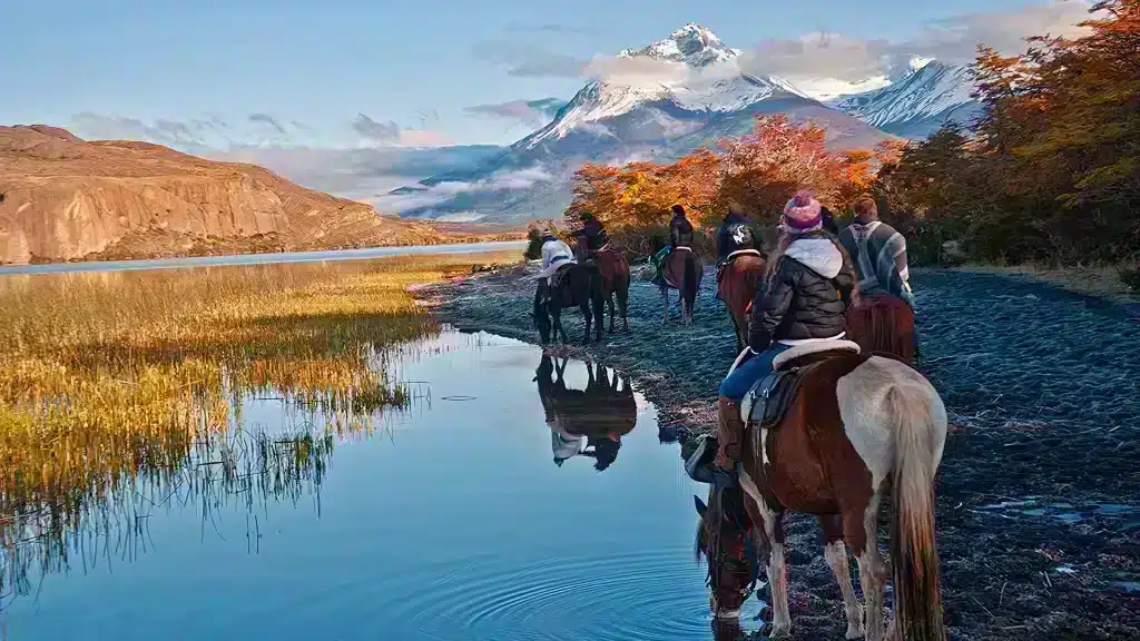 巴塔哥尼亚 Laguna Sofia Natales