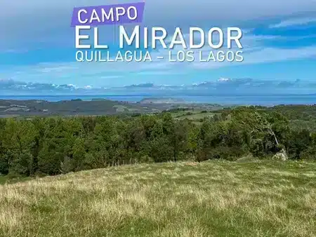 Campo El Mirador Quillagua
