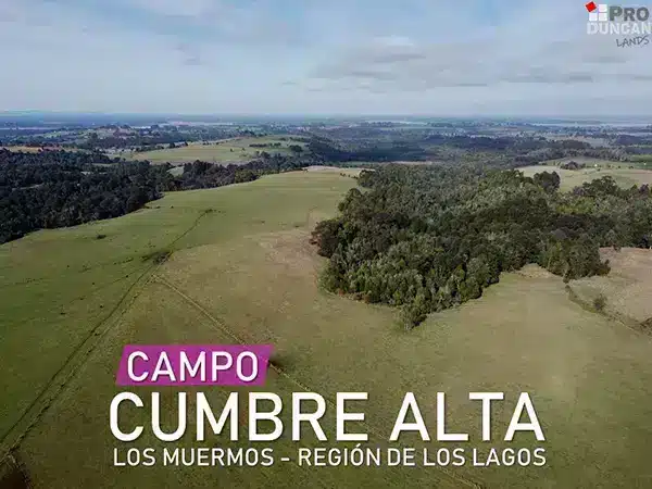 Campo Cumbre Alta