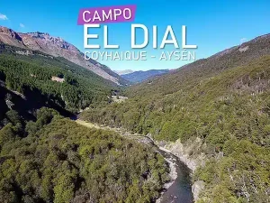 Campo-El-Dial