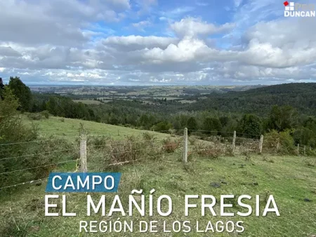 Campo El Mañio