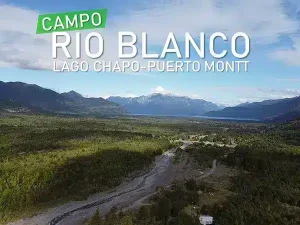 Campo Rio Blanco