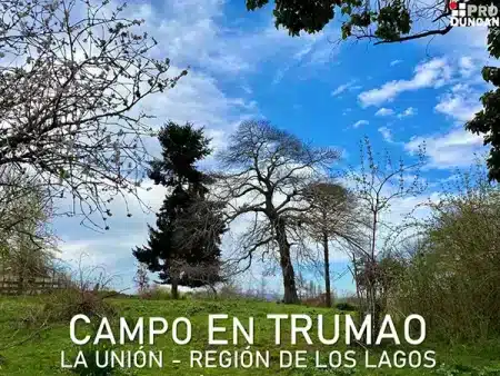 Campo En Trumao