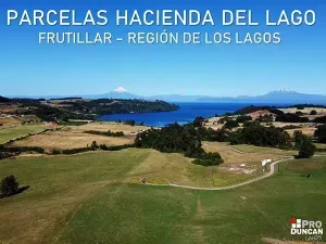 Hacienda del Lago 地块