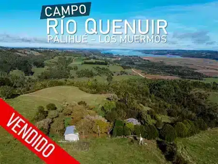Campo Rio Quenuir Vendido