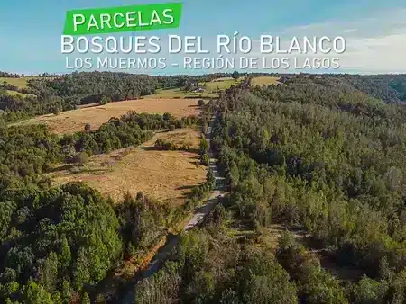 Bosques del Rio Blanco