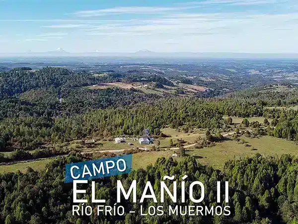 Campo El Mañio II