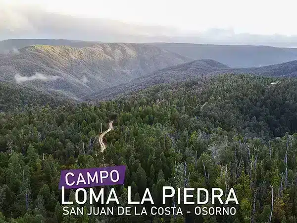 Campo Loma La Piedra