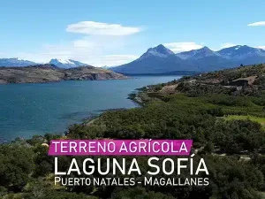 Laguna Sofía