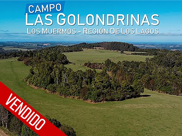 Las Golondrinas vendido