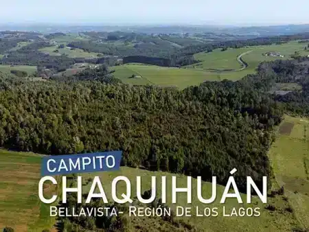 Presentacion Campito Chaquihuan