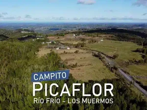 Presentacion Campito Picaflor