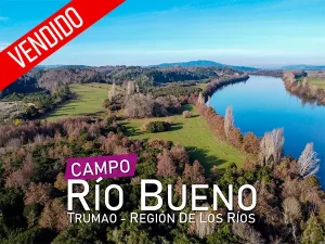 Campo Río Bueno Vendido