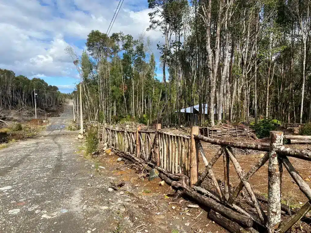 Parcelas Los Alerces de Lauca