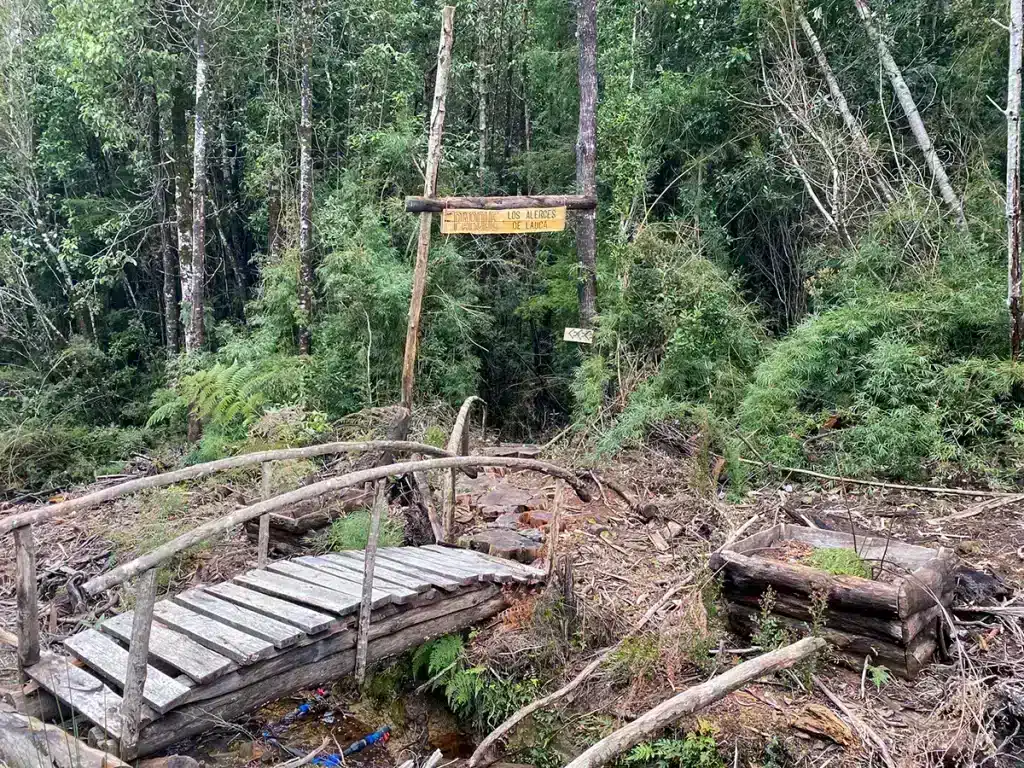 Parcelas Los Alerces de Lauca