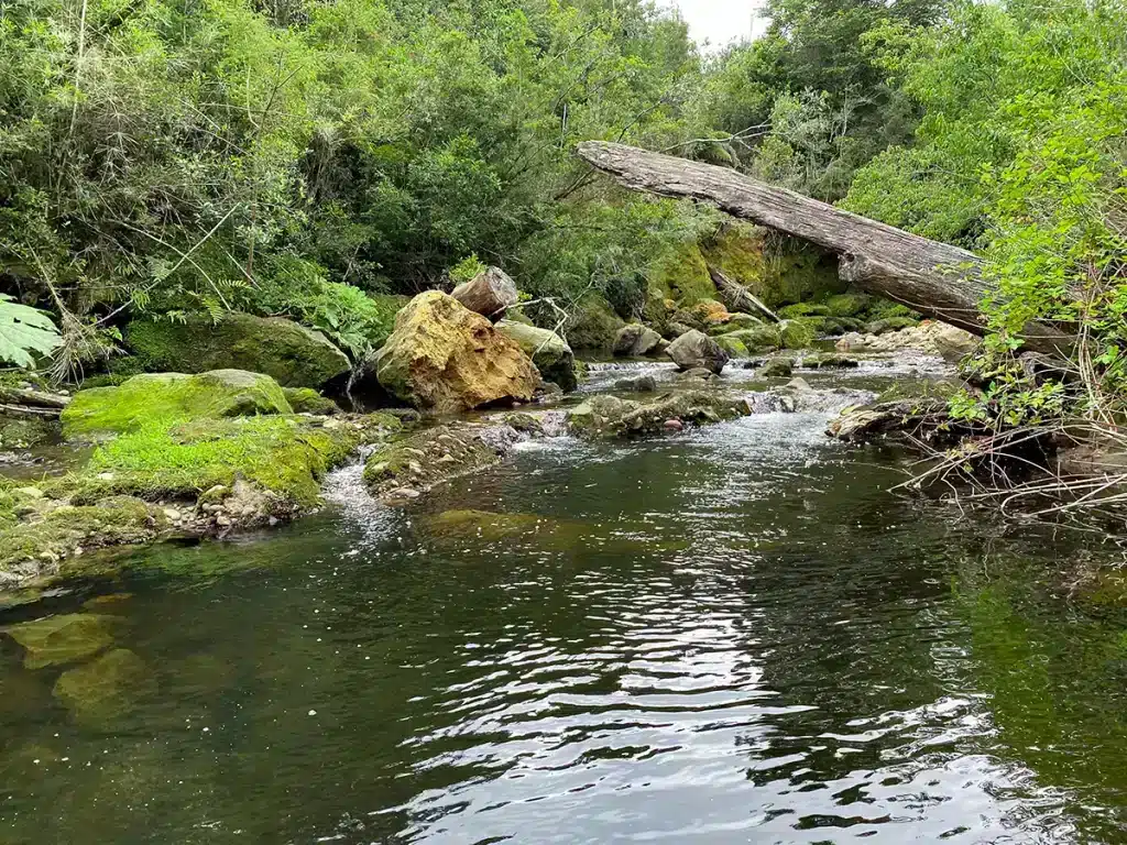 Parcelas Los Alerces de Lauca 3