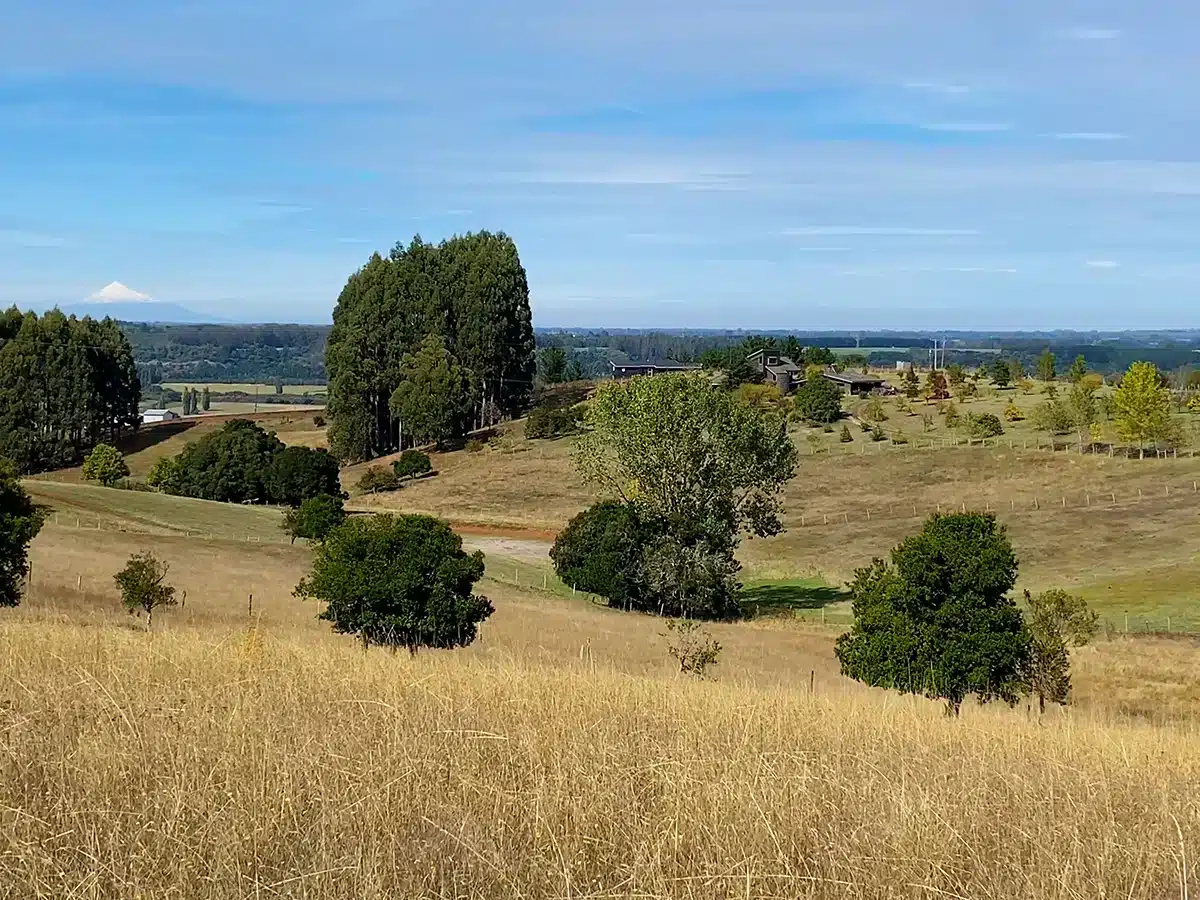Campo Talingotinto en venta
