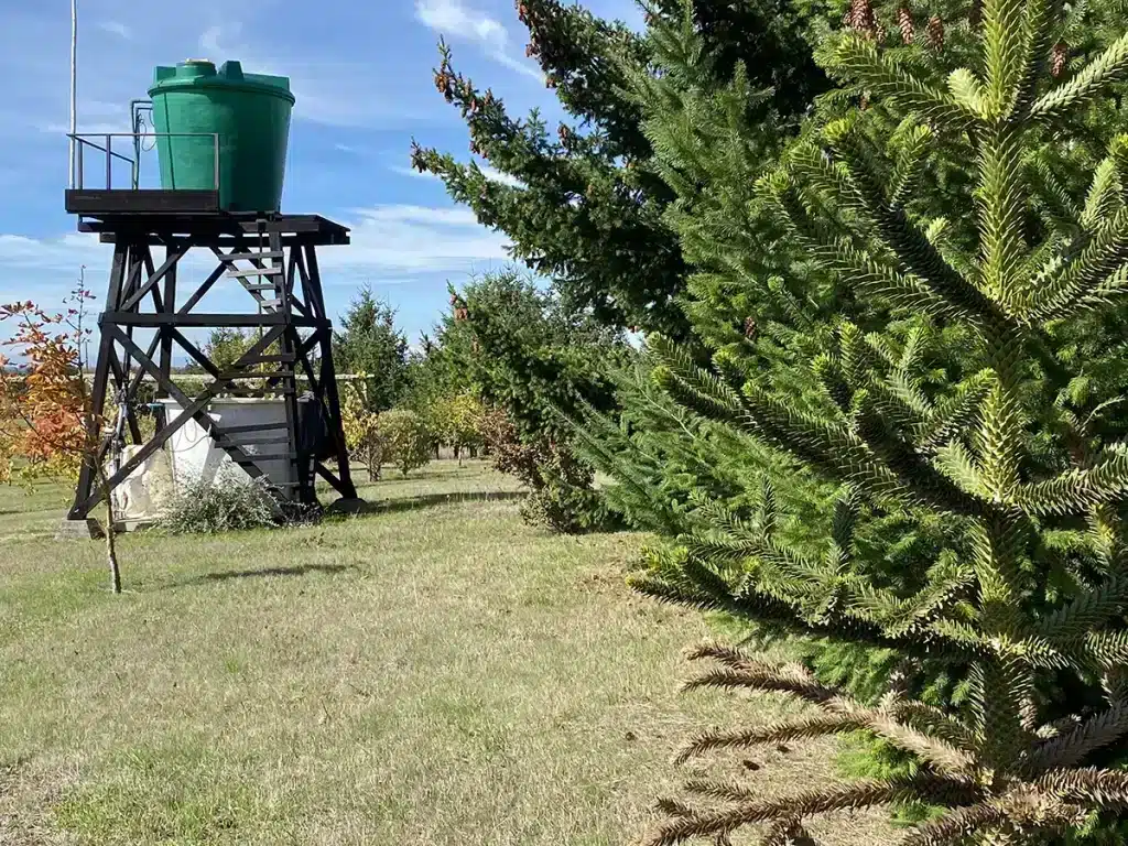 Campo en venta Talingotinto Landing (33)