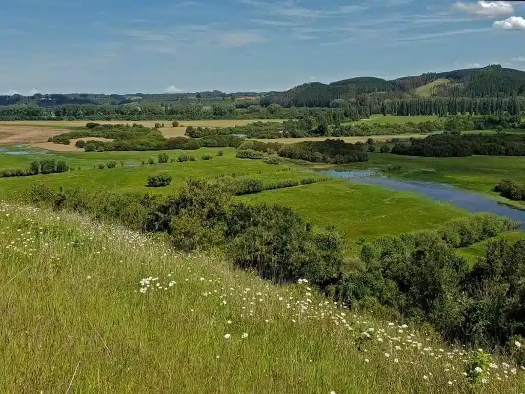 Humedal Trumao Cerca de Campo Talingotinto