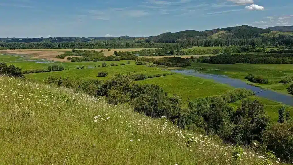 Humedal Trumao cerca a campo Talingotinto