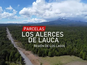 Los Alerces de Lauca Plots - Puerto Varas, Lakes Region