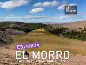 Estancia El Morro (Whatsapp)
