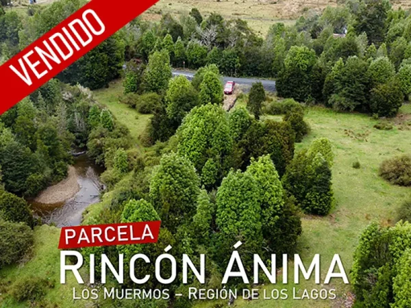 Parcela Rincón Ánima Vendido