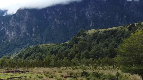 Countryside in Aysén - Coyhaique and Puerto Aysén - Los Torreones, Aysén Region - Image 8
