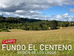 Campo Fundo El Centeno en Región de Los Lagos