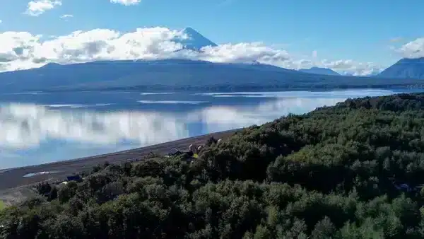 Parcela en venta río Tepu Ensenada (11)