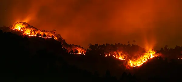 toma area incendio forestal