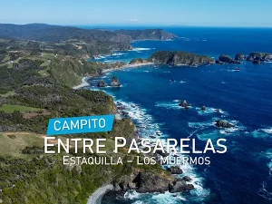 Campito Entre Pasarelas