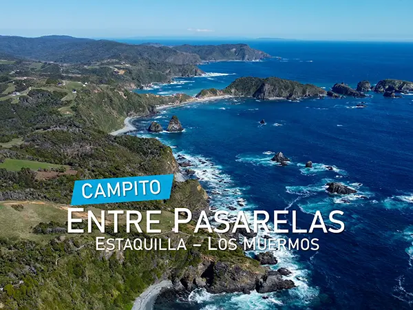Campito Entre Pasarelas