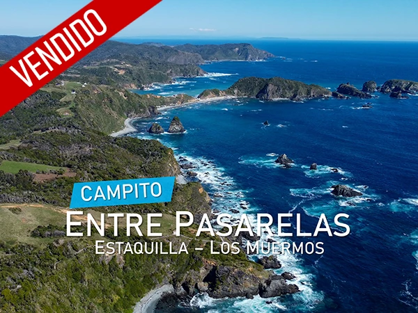 Entre pasarelas vendido