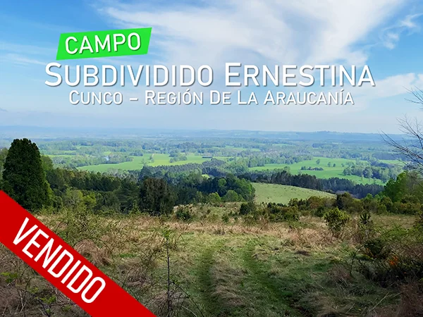 Campo Ernestina Vendido