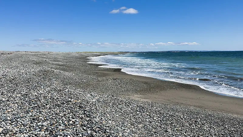 MAR BRAVA 1
