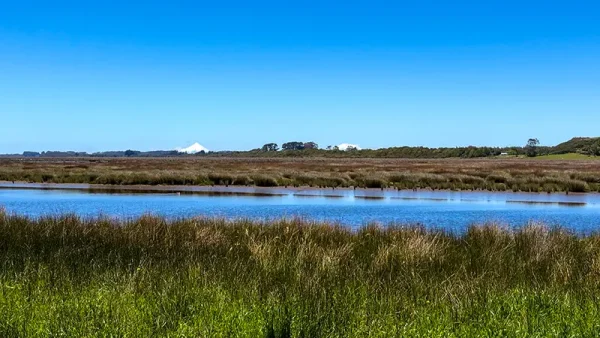 Lots in Carelmapu Mar Brava - Maullín - Lakes Region - Image 7