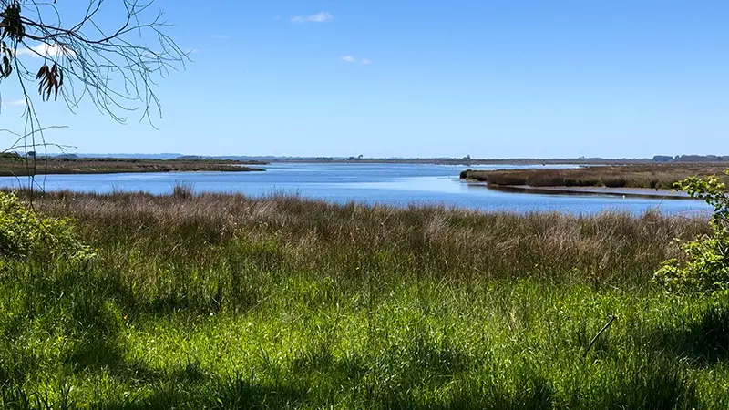 RIO SAN PEDRO NOLASCO 1