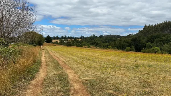 Farm with house in Fresia - Tegualda, Los Lagos Region - Image 2