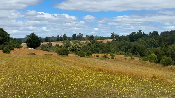 Farm with house in Fresia - Tegualda, Los Lagos Region - Image 11