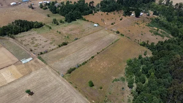Farm with house in Fresia - Tegualda, Los Lagos Region - Image 12